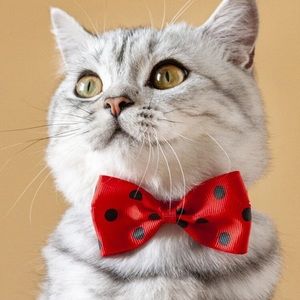 🐈 Adorable Kitty Cat Or Small Doggie Polkadot Bow Tie 🐈